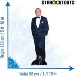 Daniel Craig 'Black Suit' (English Actor) Lifesize + Mini Cardboard Cutout - Image 3