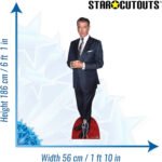 Pierce Brosnan 'Blue Suit' (Irish Actor) Lifesize + Mini Cardboard Cutout - Image 3