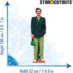 Harry Styles 'Green Outfit' (English Singer/Songwriter) Lifesize + Mini Cardboard Cutout / Standee - Image 3