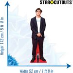 Diego Ibáñez Cotroneo (Chilean Musician) Lifesize + Mini Cardboard Cutout - Image 2