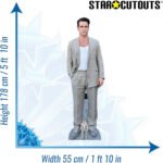 Colin Farrell (Irish Actor) Lifesize + Mini Cardboard Cutout - Image 3