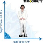 Evan Peters 'Wig & Moustache' (American Actor) Lifesize + Mini Cardboard Cutout - Image 3