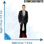 Michael Bublé 'Black Suit' (Canadian Singer/Songwriter) Lifesize Cardboard Cutout - Image 3
