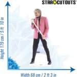 Rod Stewart 'Pink Jacket' (British Singer/Songwriter) Lifesize Cardboard Cutout - Image 3