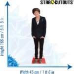 Harry Styles 'One Direction' (English Singer/Songwriter) Lifesize Cardboard Cutout / Standee - Image 3
