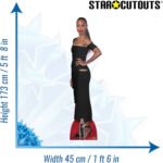 Zoe Saldaña 'Black Dress' (American Actress) Lifesize + Mini Cardboard Cutout / Standee - Image 3