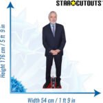 Robert De Niro 'Red Carpet' (American Actor) Lifesize + Mini Cardboard Cutout / Standee - Image 3