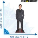 Cillian Murphy 'Red Carpet' (Irish Actor) Lifesize + Mini Cardboard Cutout / Standee - Image 3