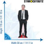 Finn Cole 'Red Carpet' (English Actor) Lifesize + Mini Cardboard Cutout / Standee - Image 3
