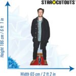 James Norton 'Red Carpet' (English Actor) Lifesize + Mini Cardboard Cutout / Standee - Image 3