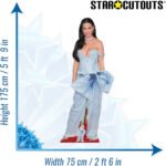Katy Perry 'Denim Outfit' (American Singer/Songwriter) Lifesize + Mini Cardboard Cutout / Standee - Image 3