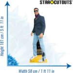 Akshay Kumar 'Casual' (Indian Actor) Lifesize + Mini Cardboard Cutout / Standee - Image 3