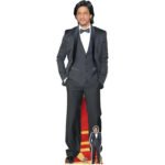 Shah Rukh Khan 'Smart Suit' (Indian Actor) Lifesize + Mini Cardboard Cutout / Standee