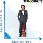 Shah Rukh Khan 'Smart Suit' (Indian Actor) Lifesize + Mini Cardboard Cutout / Standee - Image 3