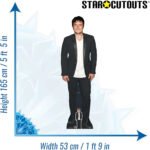 Josh Hutcherson (American Actor) Lifesize + Mini Cardboard Cutout / Standee - Image 3