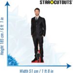Howard Donald (English Singer/Songwriter) Lifesize + Mini Cardboard Cutout / Standee - Image 3