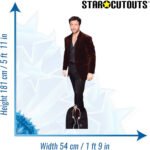 Aaron Taylor-Johnson 'Velvet Jacket' (American Actor) Lifesize + Mini Cardboard Cutout / Standee - Image 3