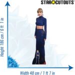 Taylor Swift 'Crop Top' (American Singer/Songwriter) Lifesize + Mini Cardboard Cutout / Standee - Image 3