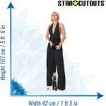 Miley Cyrus 'Black Jumpsuit' (American Singer/Songwriter) Lifesize + Mini Cardboard Cutout / Standee - Image 3