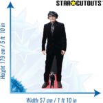 Johnny Depp 'Black Suit' (American Actor) Lifesize + Mini Cardboard Cutout / Standee - Image 3