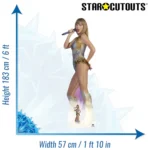 Taylor Swift 'On Stage' (American Singer/Songwriter) Lifesize + Mini Cardboard Cutout / Standee - Image 3