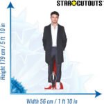 Lando Norris 'Suit' (British F1 Racing Driver) Lifesize + Mini Cardboard Cutout / Standee - Image 3