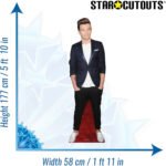 Louis Tomlinson 'One Direction' (English Singer/Songwriter) Lifesize Cardboard Cutout / Standee - Image 3