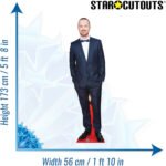 Aaron Paul (American Actor) Lifesize Cardboard Cutout - Image 3