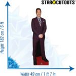 Robert Downey Jr. (American Actor) Lifesize Cardboard Cutout - Image 3
