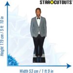 Pharrell Williams (American Musician) Lifesize Cardboard Cutout - Image 3