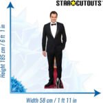 Roger Federer (Swiss Former Tennis Player) Lifesize + Mini Cardboard Cutout - Image 3