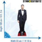 Ryan Reynolds 'Black Suit' (Canadian/American Actor) Lifesize + Mini Cardboard Cutout - Image 3