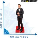 James Marsden 'Red Carpet' (American Actor) Lifesize + Mini Cardboard Cutout - Image 3