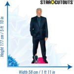 Tom Jones 'Red Carpet' (Welsh Singer) Lifesize + Mini Cardboard Cutout - Image 3