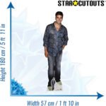 Akshay Kumar (Indian Actor) Lifesize + Mini Cardboard Cutout - Image 3