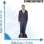 Ryan Reynolds 'Smart Suit' (Canadian/American Actor) Lifesize + Mini Cardboard Cutout - Image 3