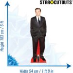 Leonardo DiCaprio 'Black Suit' (American Actor) Lifesize + Mini Cardboard Cutout - Image 3