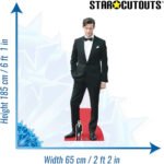 Matt Smith 'Best Dressed Man' (English Actor) Lifesize + Mini Cardboard Cutout / Standee - Image 3
