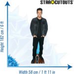 James Franco (American Actor) Lifesize + Mini Cardboard Cutout - Image 3