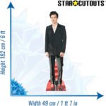Harry Styles 'Red Shoes' (English Singer/Songwriter) Lifesize + Mini Cardboard Cutout / Standee - Image 3