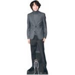 Finn Wolfhard (Canadian Actor) Lifesize + Mini Cardboard Cutout