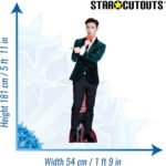 Lay Zhang 'Exo' (Chinese Singer & Actor) Lifesize + Mini Cardboard Cutout - Image 3