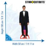 Novak Djokovic 'Black Suit' (Serbian Tennis Player) Lifesize + Mini Cardboard Cutout - Image 3