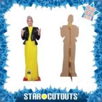 Pink 'Yellow Dress' (American Singer/Songwriter) Lifesize + Mini Cardboard Cutout - Image 2