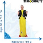 Pink 'Yellow Dress' (American Singer/Songwriter) Lifesize + Mini Cardboard Cutout - Image 3