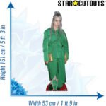 Billie Eilish 'Green Suit' (American Singer/Songwriter) Lifesize + Mini Cardboard Cutout / Standee - Image 3