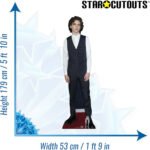 Timothée Chalamet 'Waistcoat' (American/French Actor) Lifesize + Mini Cardboard Cutout - Image 3