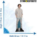 Timothée Chalamet (American/French Actor) Lifesize + Mini Cardboard Cutout - Image 3