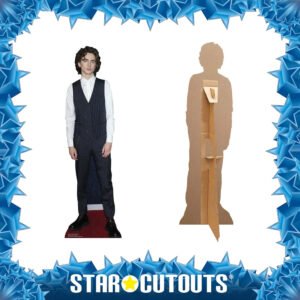 CS837 Timothée Chalamet 'Waistcoat' (American-French Actor) Mini Cardboard Cutout Frame New