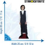 Timothée Chalamet 'Waistcoat' (American/French Actor) Mini Cardboard Cutout - Image 3